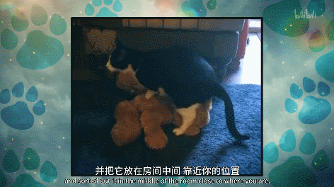 IMG_8467.GIF