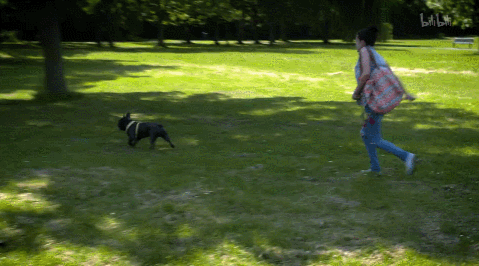 IMG_8477.GIF