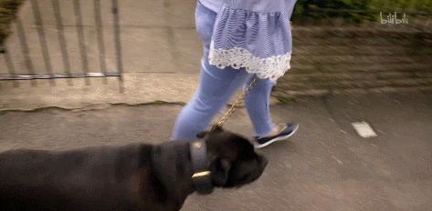 IMG_8500.GIF