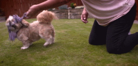 IMG_8506.GIF