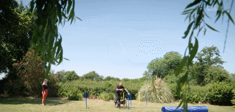 IMG_8505.GIF
