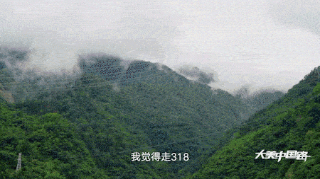 IMG_8629.GIF