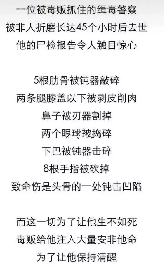 IMG_9339.PNG