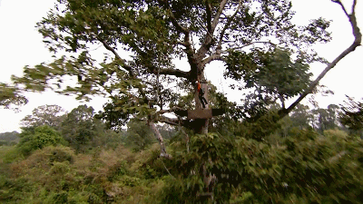 IMG_9353.GIF