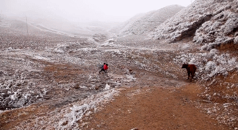 IMG_9433.GIF