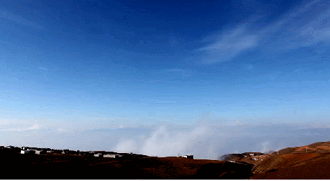 IMG_9442.GIF