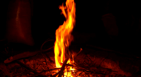 IMG_9439.GIF