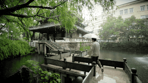 IMG_9308.GIF