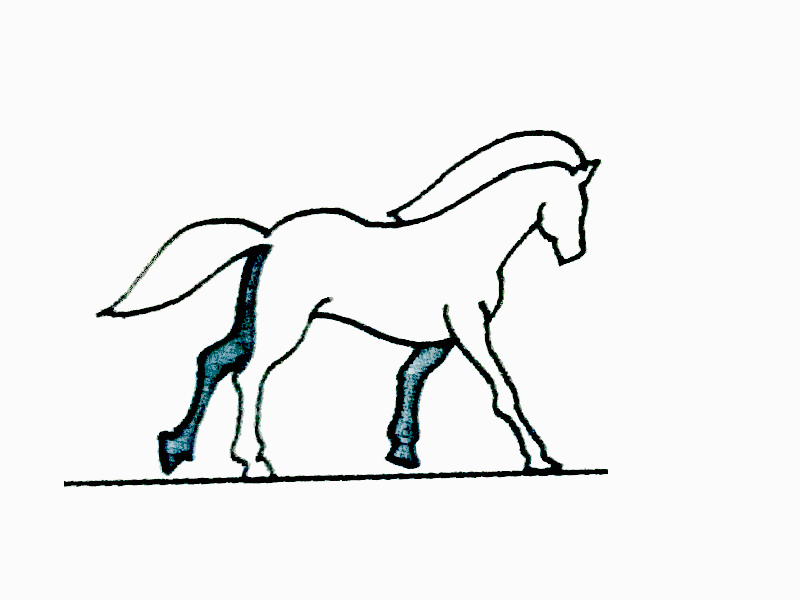 IMG_0386.GIF