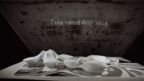 IMG_1059.GIF