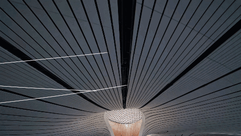 IMG_1106.GIF