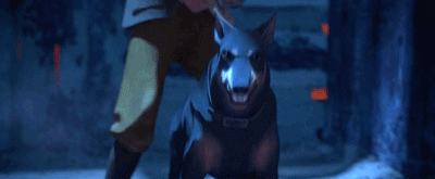 IMG_1386.GIF