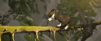 IMG_1394.GIF