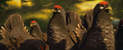 IMG_1396.GIF