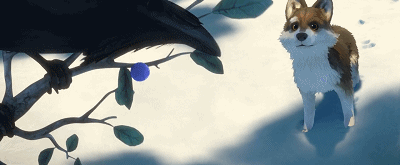 IMG_1398.GIF