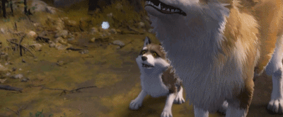 IMG_1409.GIF