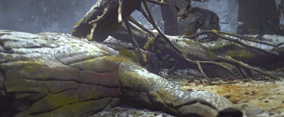 IMG_1415.GIF