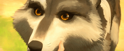 IMG_1429.GIF