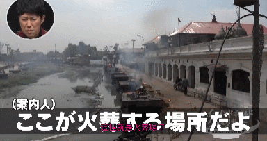 IMG_2875.GIF