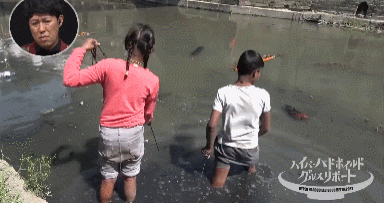 IMG_2903.GIF