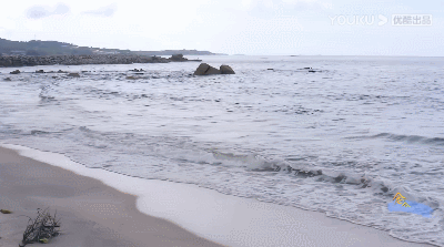 IMG_2956.GIF
