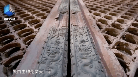IMG_2963.GIF