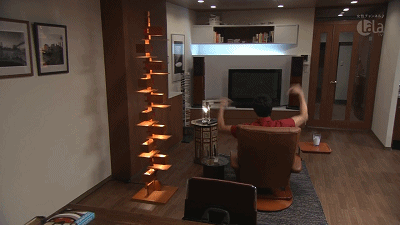 IMG_3783.GIF