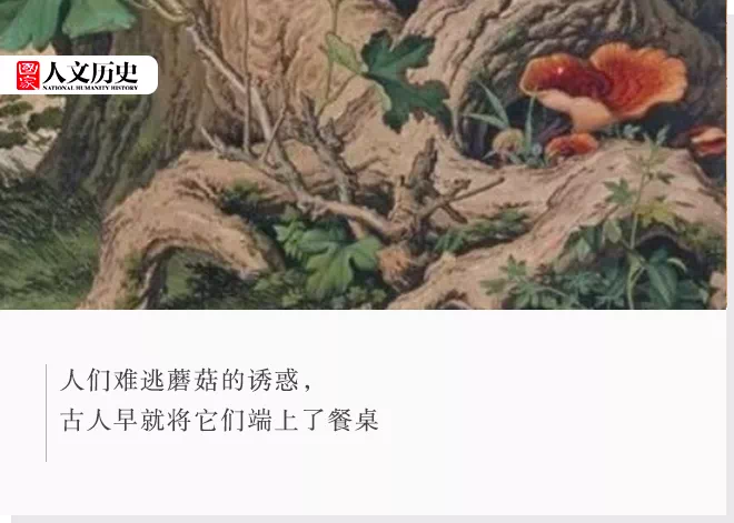 IMG_8730.PNG