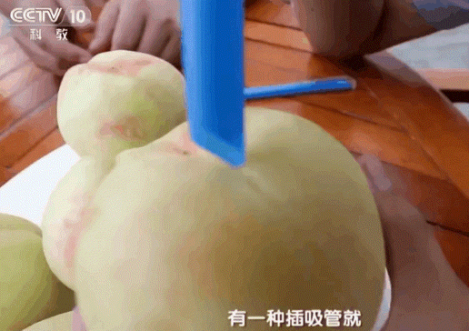 IMG_6316.GIF