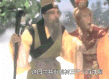 IMG_6321.GIF