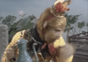 IMG_6319.GIF