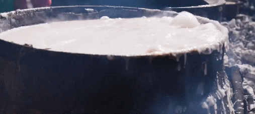 IMG_8247.GIF