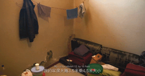 IMG_8255.GIF