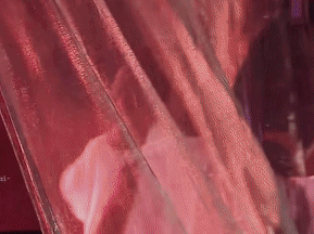 IMG_8633.GIF IMG_8633.GIF