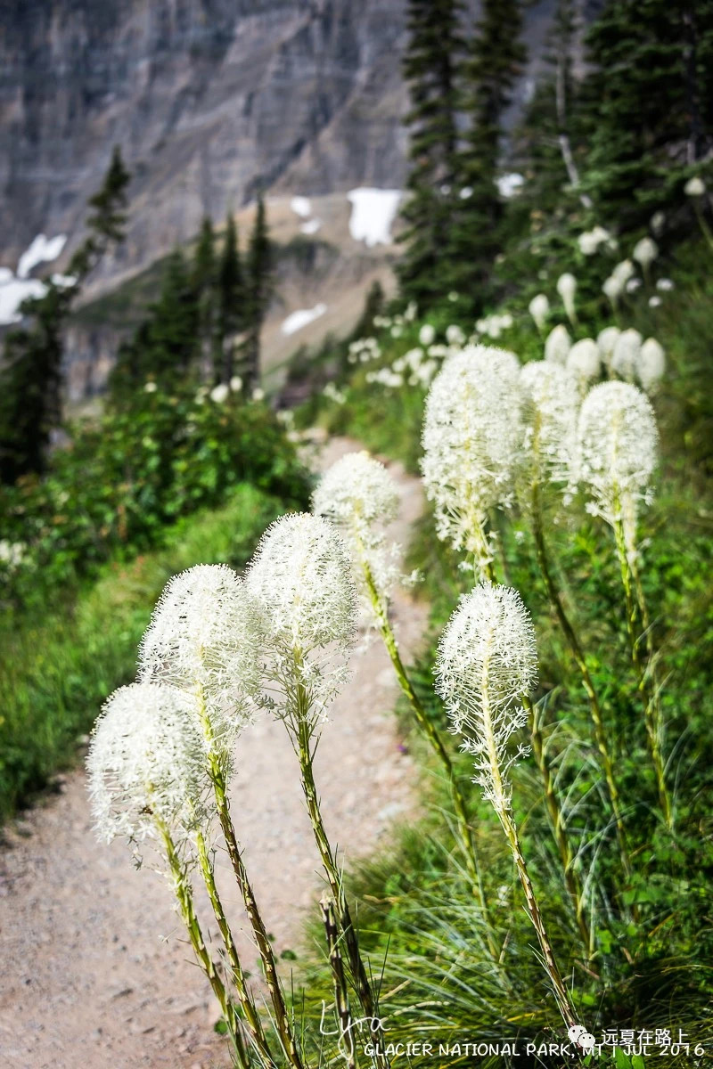 IMG_8845.JPG