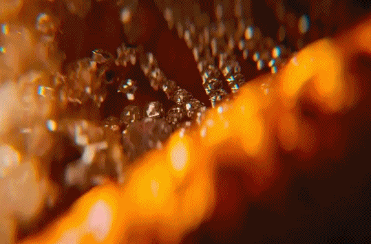 IMG_9467.GIF