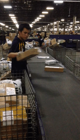 IMG_9542.GIF
