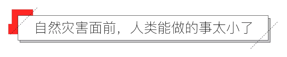 IMG_9637.PNG