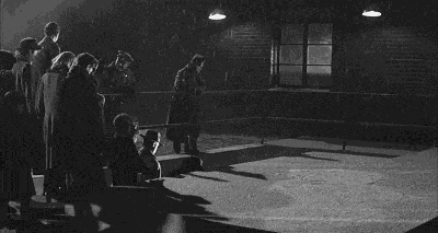 IMG_9880.GIF