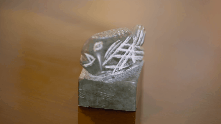 IMG_9762.GIF