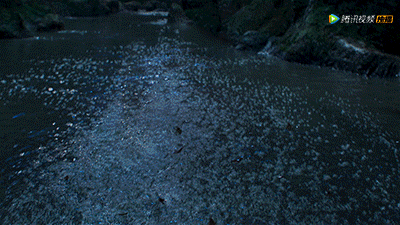 IMG_0653.GIF