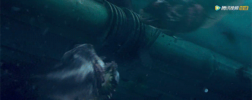 IMG_0655.GIF