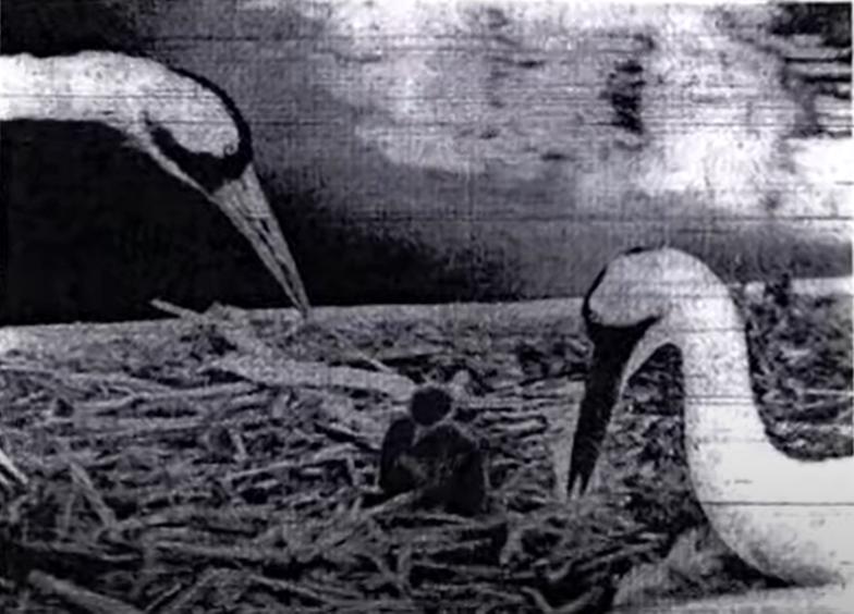 b80.jpg
