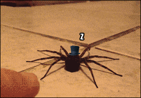 IMG_6476.GIF IMG_6476.GIF