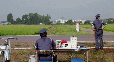IMG_6784.GIF
