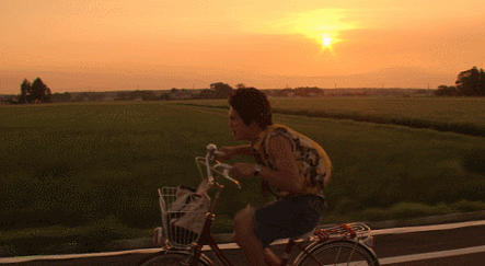 IMG_6827.GIF