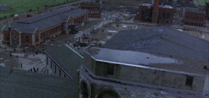 IMG_7427.GIF