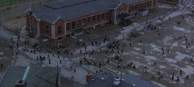 IMG_7428.GIF