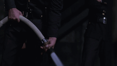 IMG_7433.GIF