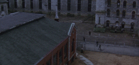 IMG_7430.GIF
